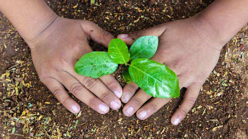 World Environment Day 2022: Prime Minister Narendra Modi to participate in &#039;Save Soil Movement&#039; and launch global initiative &#039;LiFE&#039;