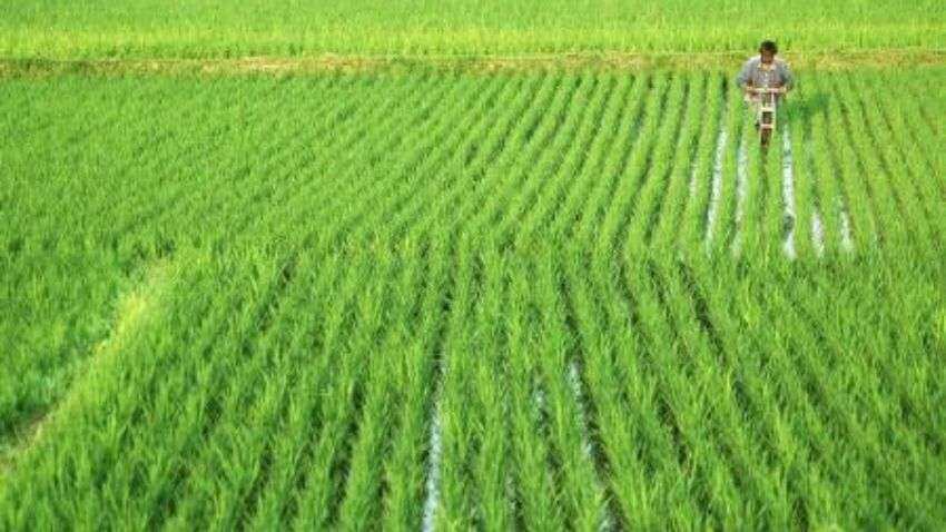 Cabinet decision: Cabinet approves increasing MSP of Kharif crops for the year 2022-23