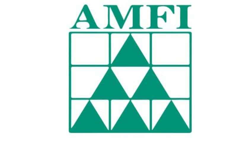 Exclusive: AMFI to come out with stock reclassification list in July; find what could be likely changes