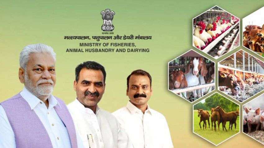 Government to launch 'One Health Pilot' in Bengaluru on Tuesday | Zee Business Government to launch 'One Health Pilot' in Bengaluru on Tuesday | Zee Business