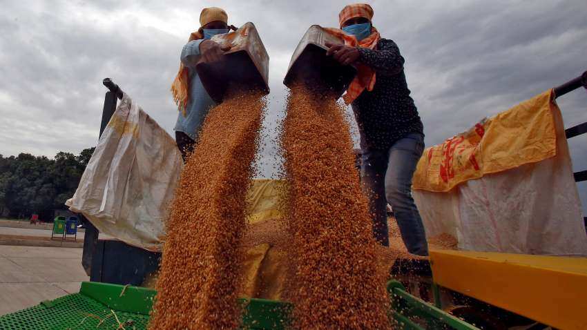 Government mulls scrapping import duty on wheat to curb skyrocketing prices