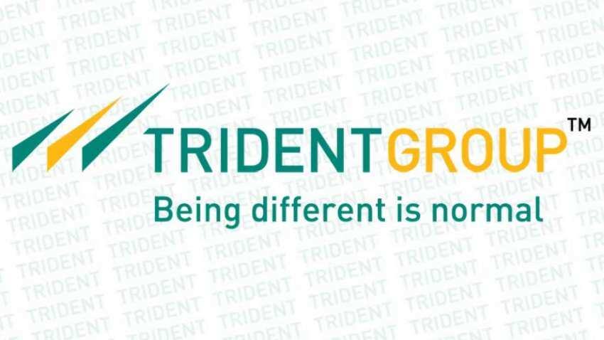 Trident result impact on share price: Scrip slumps over 12% intraday - Know  details here | Zee Business