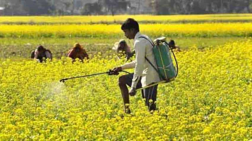 Cultivation of maize, mustard, moong to be promoted: ICAR Cultivation of maize, mustard, moong to be promoted: ICAR