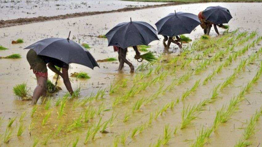  Rice production may fall due to decline in paddy area: Food Secretary Sudhanshu Pandey 