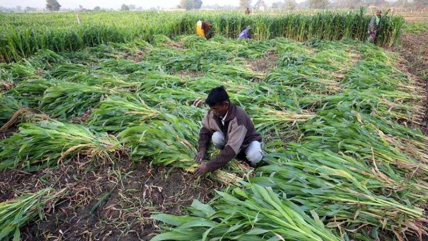 Agri start-ups should strive to make India a global leader: Union Minister Agri start-ups should strive to make India a global leader: Union Minister