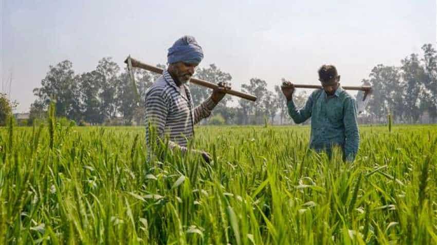 Good news for farmers! Modi govt hikes MSP for wheat, mustard, other rabi crops | Check details
