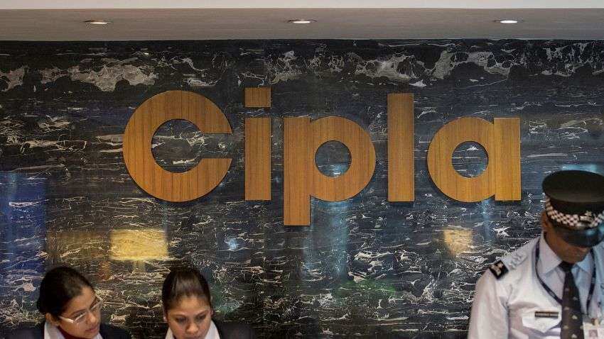 Cipla Share: Correction in pharma stock despite 12% consolidated net profit increase in Q2