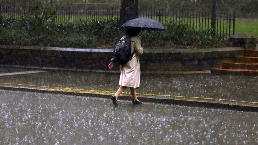 Tamil Nadu Rains - Weather Dept issues Red Alert: Schools closed due to heavy rainfall in THESE districts