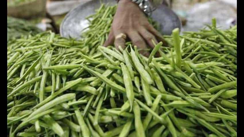 Guar Gum price gains more than 5% on NCDEX to hit 7-month high; what&#039;s driving rally?