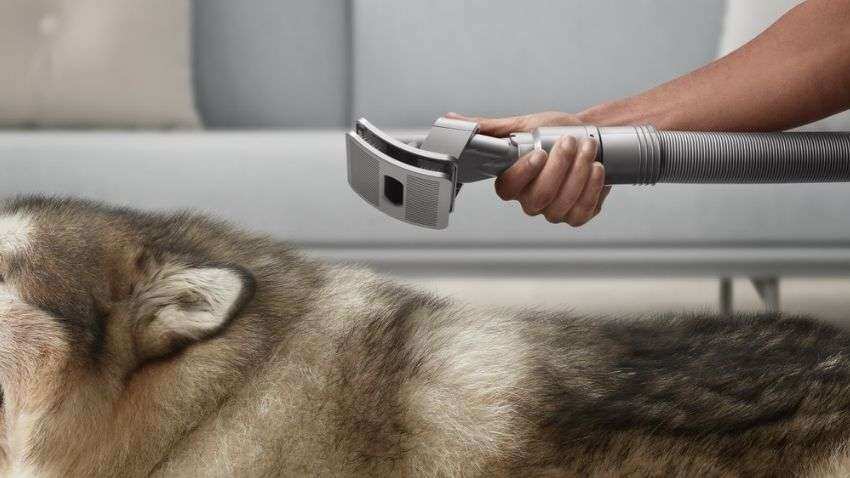 Dyson pet grooming kit available at Rs 9,900 in India - What it is, how to use? Check here