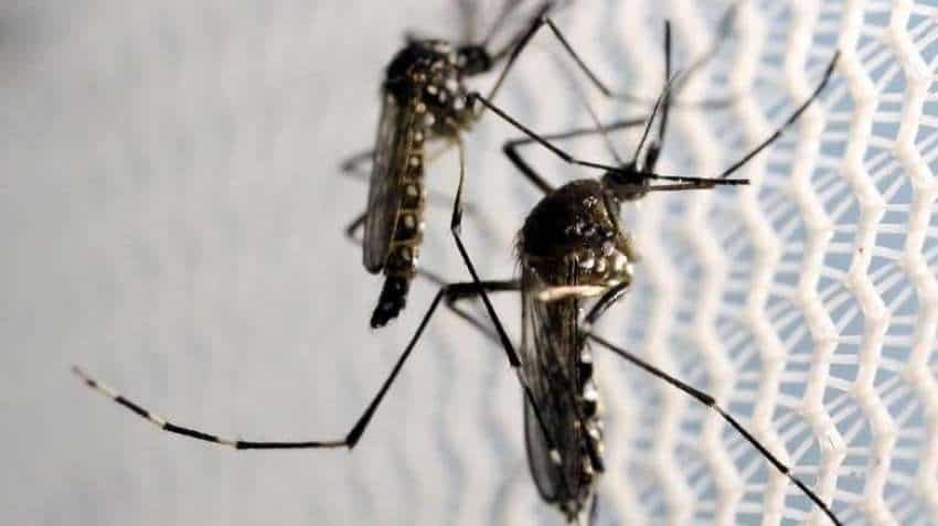 Zika virus in Karnataka: First case confirmed in 5-year-old girl; check symptoms, prevention and vaccine