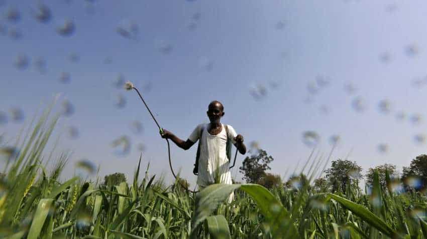 Fertiliser companies’ shares firing on all cylinders, stocks zoom up to 20%: Check Budget 2023 and Russia factor behind rally