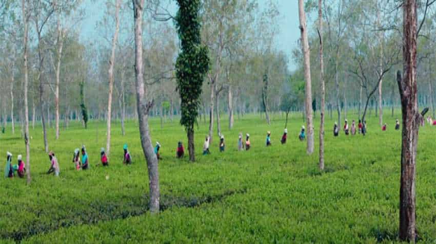 Tourism sector gets industry status in Assam