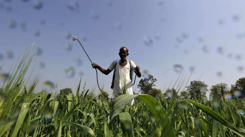Fertiliser stocks surge up to 15% on healthy outlook led by several positive factors