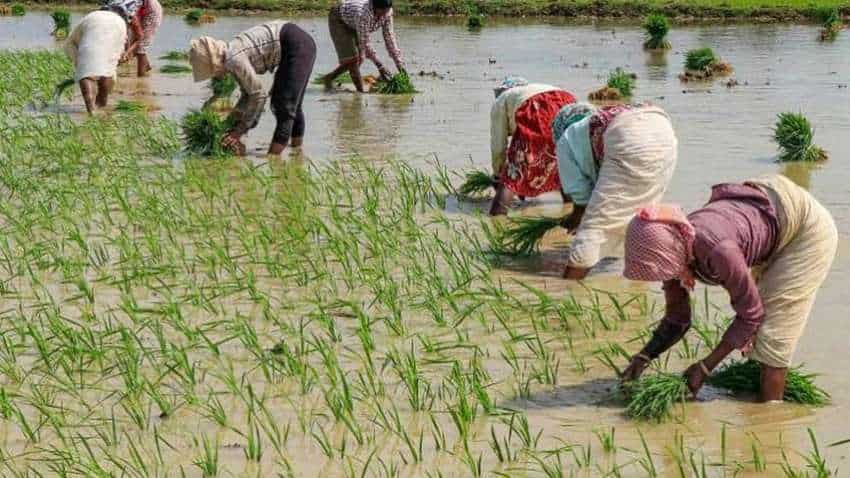 Congress demands white paper on farmers&#039; income since 2004