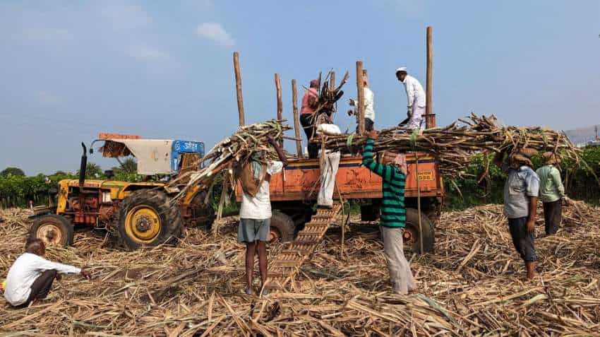 India&#039;s sugar output in Q3 up 3.69% at 120.7 lakh tons: ISMA
