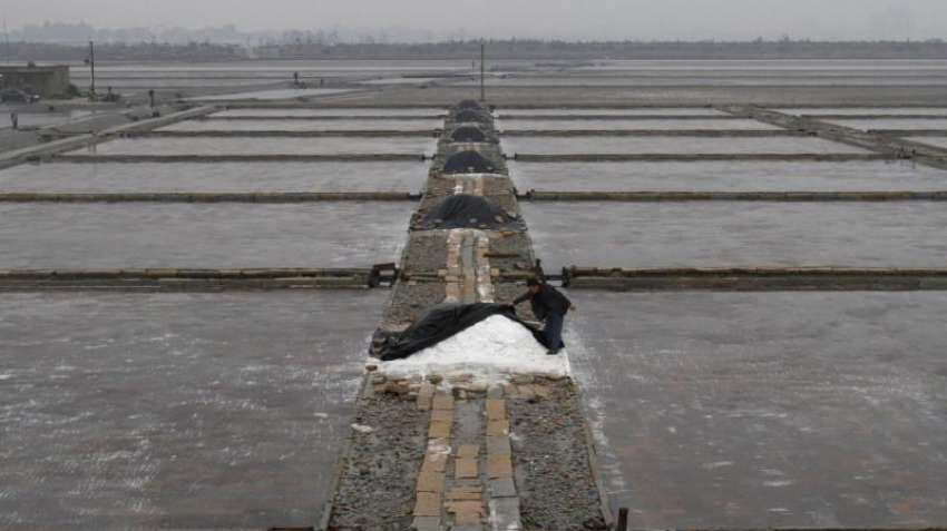 Govt working on policy for auction of salt land to private players - What is Salt Land Policy?