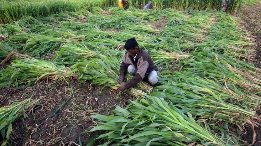Budget 2023: Why agri stocks are in focus prior to Budget