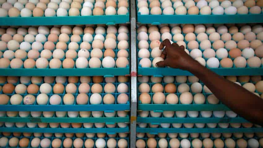 egg price today