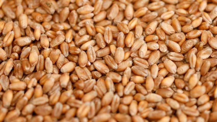 Govt to sell 30 lakh tonnes of wheat in open market till March to control prices of wheat, atta