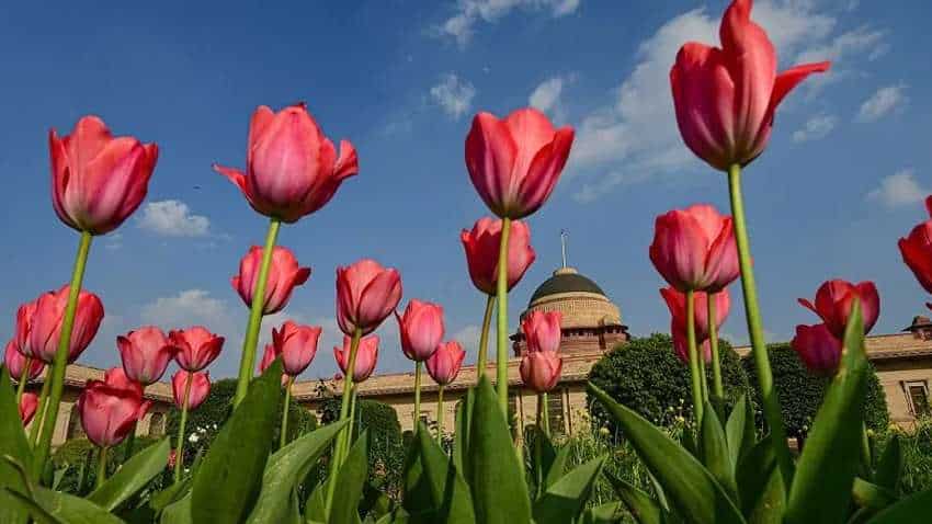 Mughal Gardens at Rashtrapati Bhavan renamed Amrit Udyan, to open for public tomorrow - How to book tickets online, price and other details