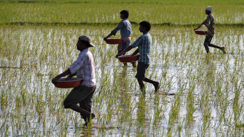 India imports 152.7 lakh ton fertilisers till Dec this fiscal: Govt
