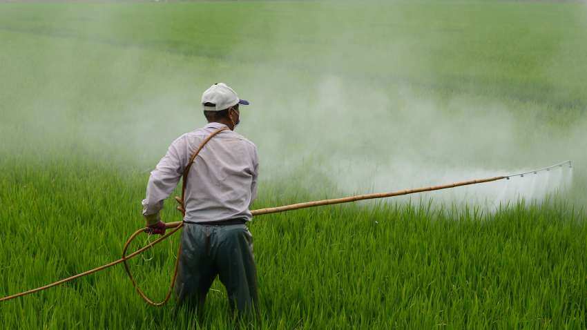 Over 3,600 firms prosecuted for selling low-quality pesticides in last 5 yrs: Govt Over 3,600 firms prosecuted for selling low-quality pesticides in last 5 yrs: Govt