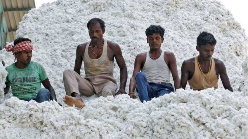 Centre approves Quality Control Order for mandatory certification of cotton bales; to be notified soon