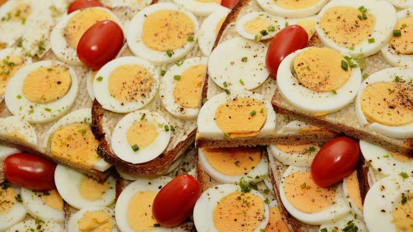 Protein Day 2023: Here are 5 interesting facts about protein market in India Protein Day 2023: Here are 5 interesting facts about protein market in India