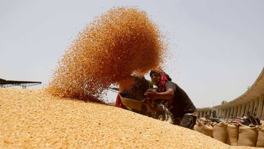 FCI to sell 10.13 lakh tonnes of wheat to bulk users via e-auctions tomorrow