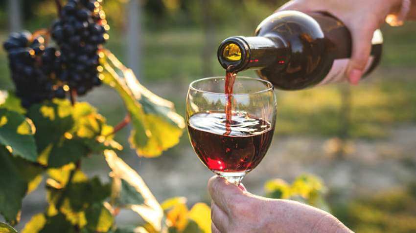 Sula Vineyards shares tumble as 90-day mandatory IPO lock-in period ends