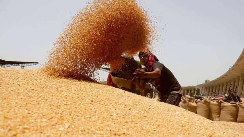 Rabi crops like wheat not much impacted by untimely rains, hail: Agriculture Minister