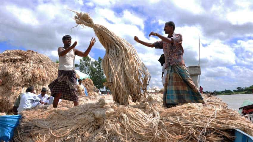 Cabinet raises Minimum Support Price for raw jute by Rs 250 per quintal for 2022-23 season