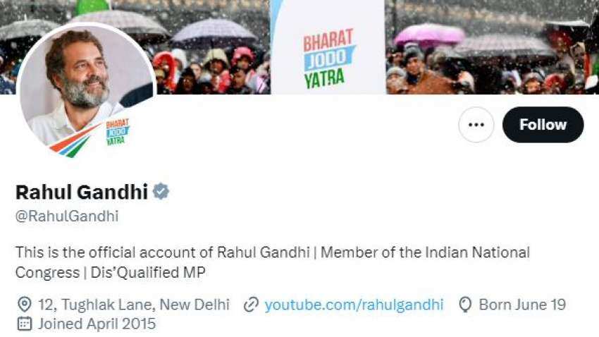 Rahul Gandhi Lok Sabha Disqualification: Former Congress president changes his Twitter bio, writes Dis&#039;Qualified MP