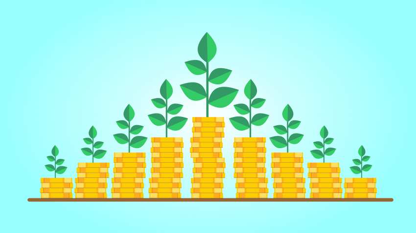 Mutual Fund: How you can invest in mutual funds through Zerodha Coin