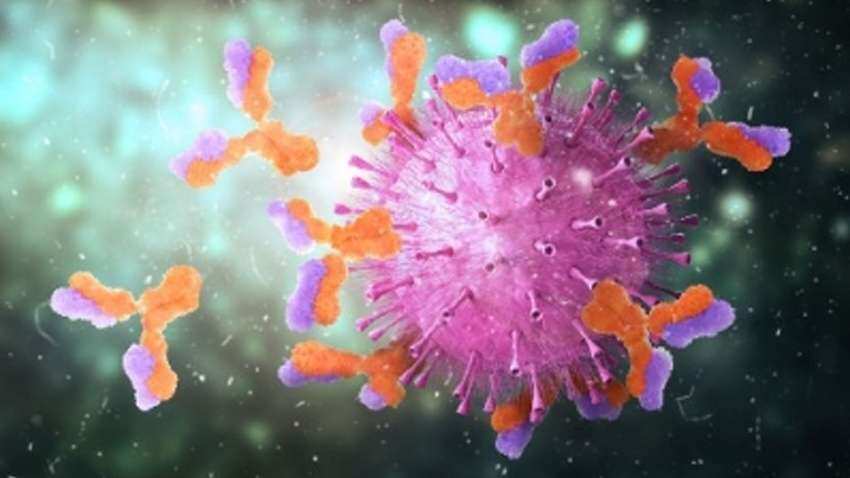 Coronavirus: Gut bacteria may trigger weaker immune response to Covid vaccine