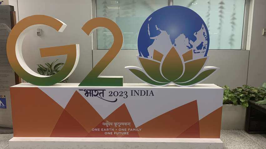 India to press for automatic exchange of info on non-financial assets, properties at G20: Revenue Secretary