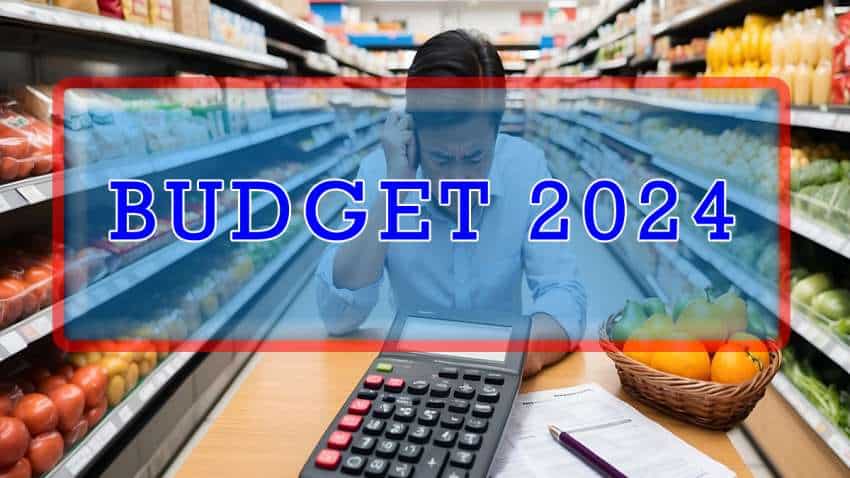 Union Budget 2024, List of costlier and cheaper items