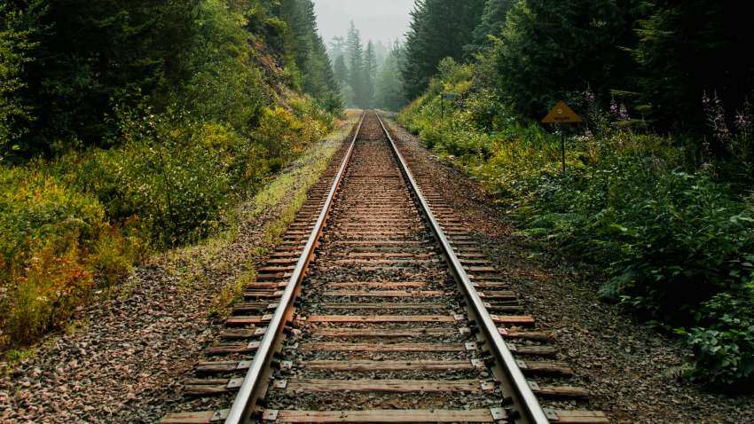 Ganesh Festival 2024: Indian Railways announces 342 special trains in Maharashtra; catch latest details here Ganesh Festival 2024: Indian Railways announces 342 special trains in Maharashtra; catch latest details here